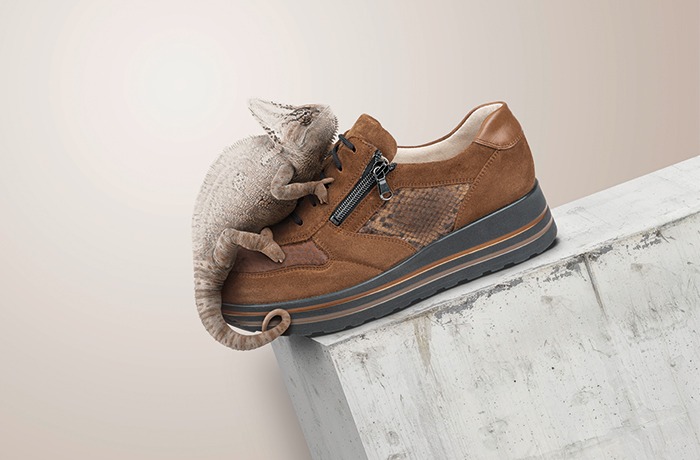 Ein brauner Wildleder-Sneaker mit einem seitlichen Reißverschluss ruht auf einer Steinoberfläche, während sich ein getarntes Chamäleon an den Schnürsenkeln festhält und mit der Farbe des Schuhs verschmilzt.
