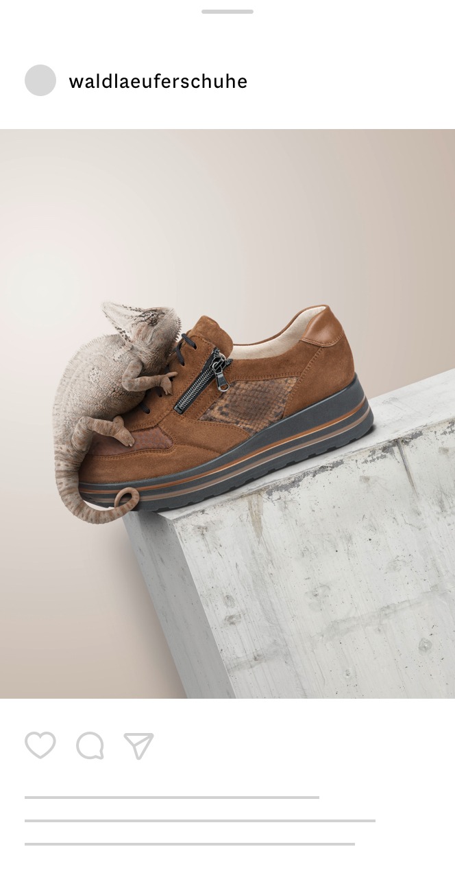 Ein brauner Wildlederschuh mit einem seitlichen Reißverschluss sitzt auf einem Betonblock. Ein Chamäleon ist auf dem Schuh getarnt und passt sich dessen Farbe und Textur an.